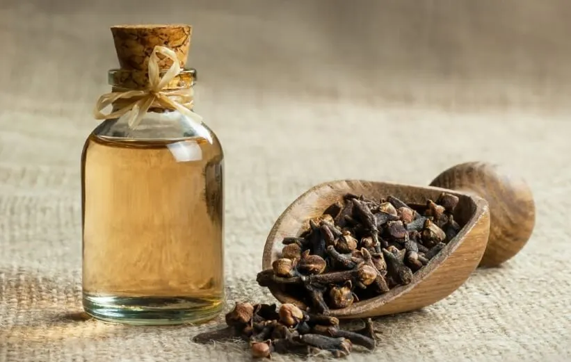 میخک درمان خانگی آبسه دندان
